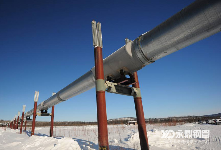 石油需求低迷导致无缝宅男宅女网需求下滑严重